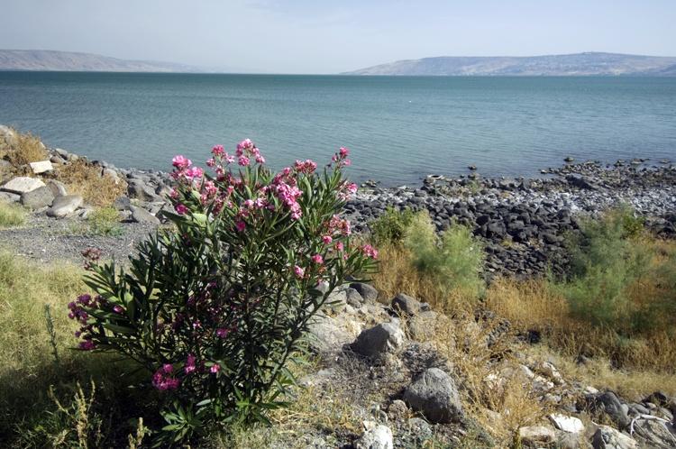 Sea of Galilee by Claudiad, iStock